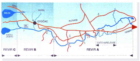 Casella di testo:  